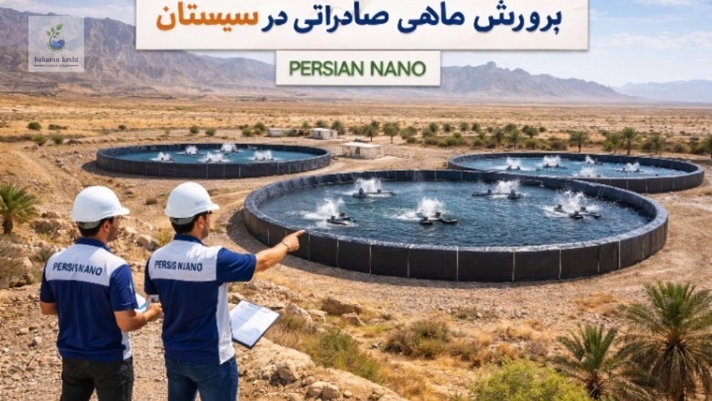 ساخت استخر پیش ساخته پرورش ماهی در سیستان و بلوچستان | راهکار کم‌آب و سودآور با اجرای پرشین نانو