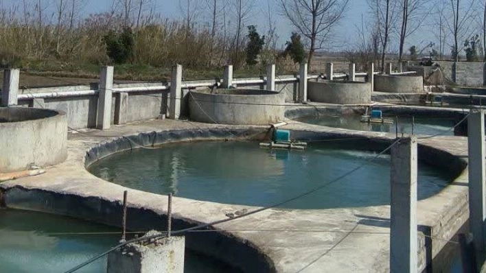 ساخت استخر کشاورزی و شیلات با اجرای تخصصی