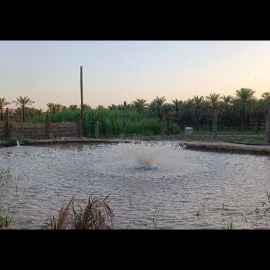 1723269881256.webp