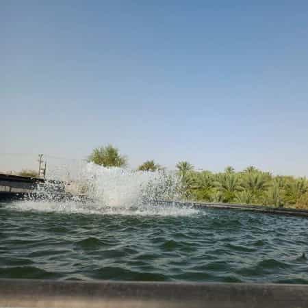 1723269868700.webp