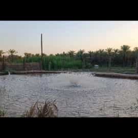 1723269881256.webp