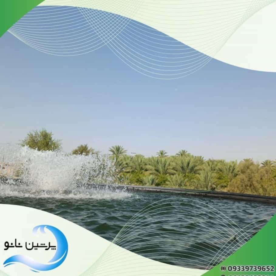 1732981730710.webp