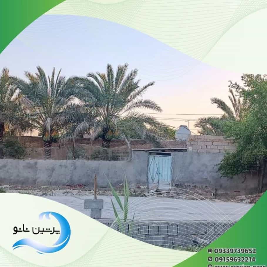 1732981754279.webp