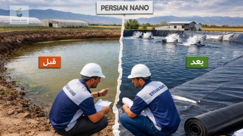 ارتقای استخر سنتی به نیمهنانو؛ راهکار اقتصادی افزایش بهرهوری در پرورش ماهی با رویکرد مهندسی پرشین نانو ارتقای استخر سنتی به نیمهنانو؛ راهکار اقتصادی افزایش بهرهوری در پرورش ماهی با رویکرد مهندسی پرشین نانو