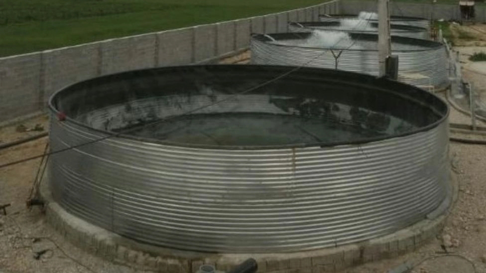 An overview of the evolution of cold water fish production in Iran and the world An overview of the evolution of cold water fish production in Iran and the world