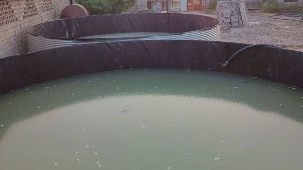 مراحل نصب استخر پرورش ماهی در رشت مراحل نصب استخر پرورش ماهی در رشت